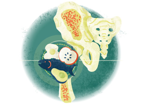 The Importance of D3 K2 in Preventing Osteoporosis